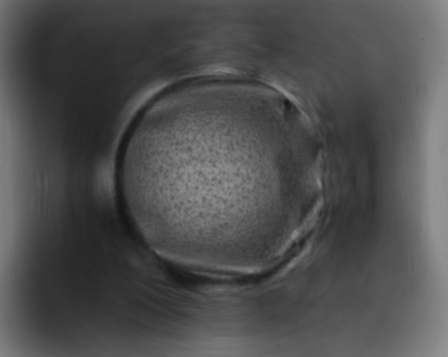 X0000093230200200710101410