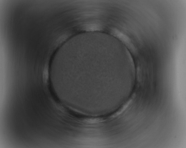 X0000093230202200710101410