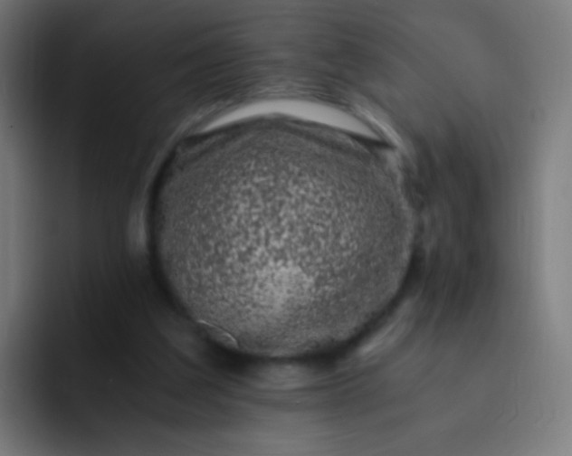 X0000093230203200710101410