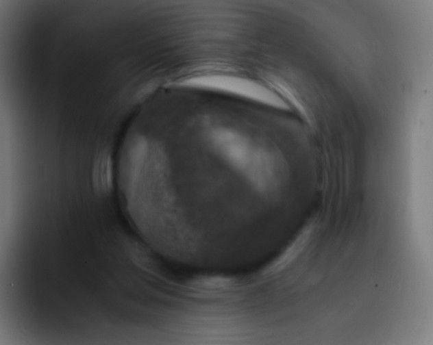 X0000093230205200710101409