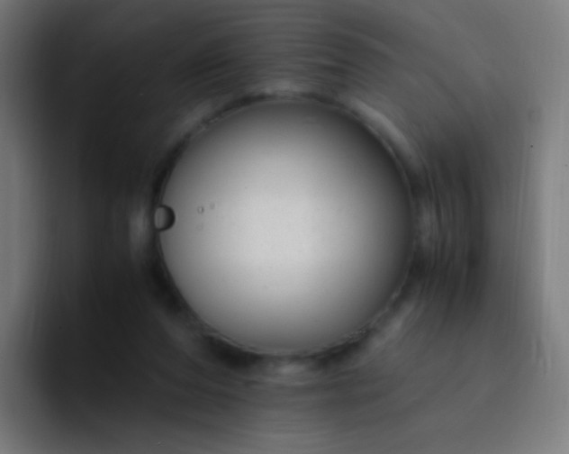 X0000093230208200710101409