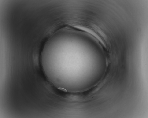 X0000093230209200710101409