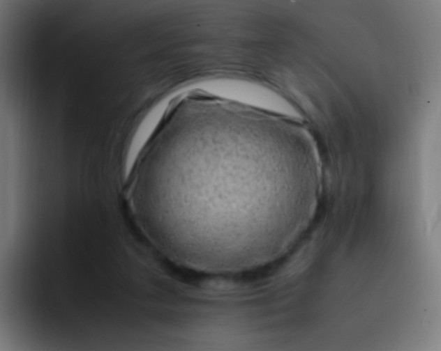 X0000093230211200710101409