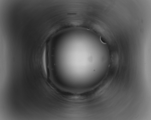 X0000093230212200710101409