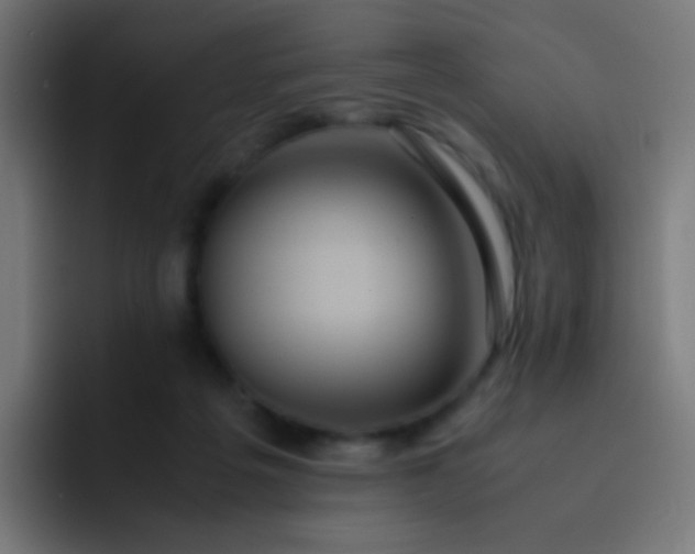 X0000093230217200710101409