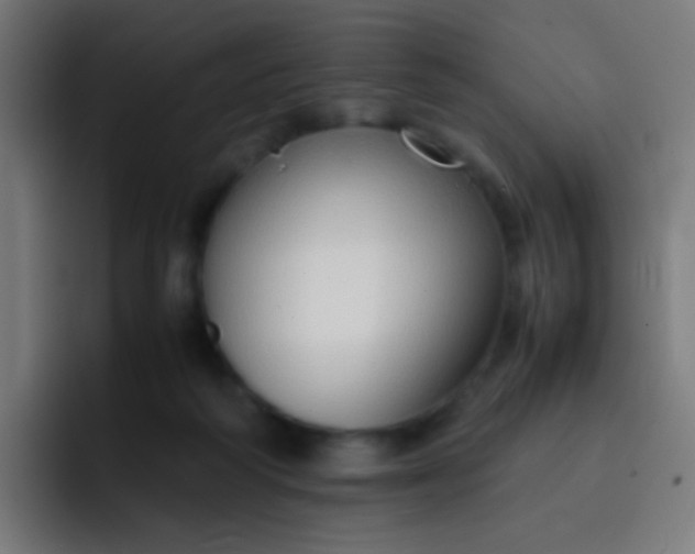 X0000093230218200710101409