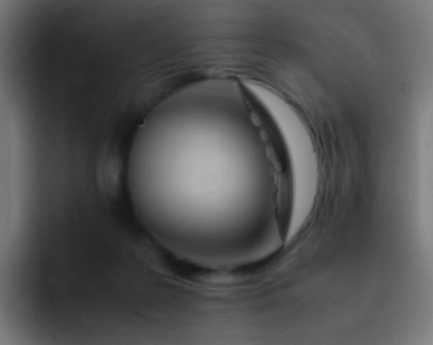 X0000093230219200710101409