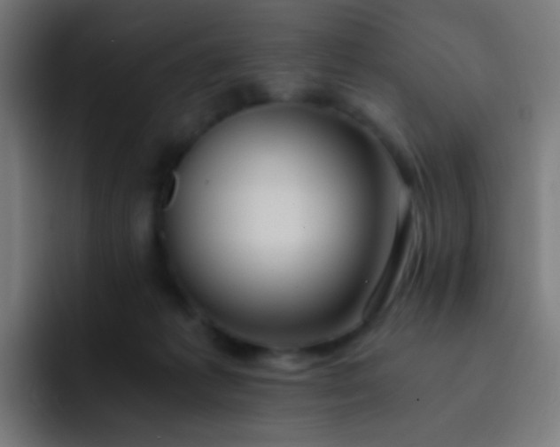 X0000093230221200710101409