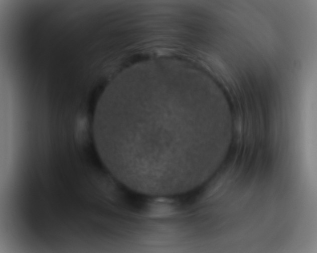 X0000093230222200710101409