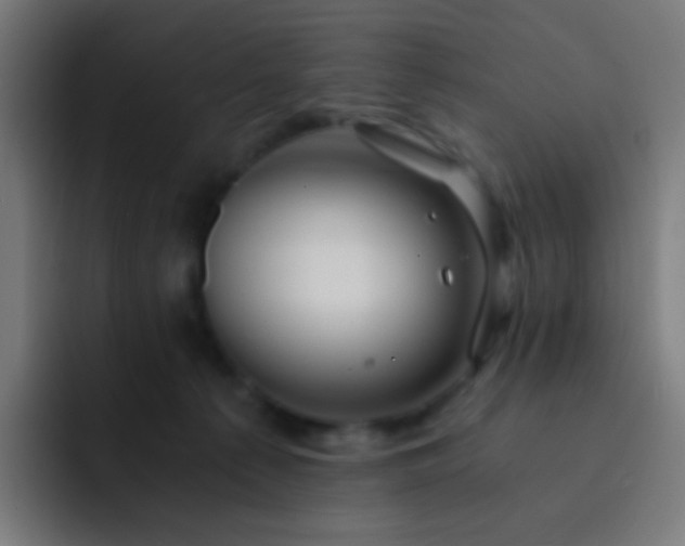 X0000093230225200710101409