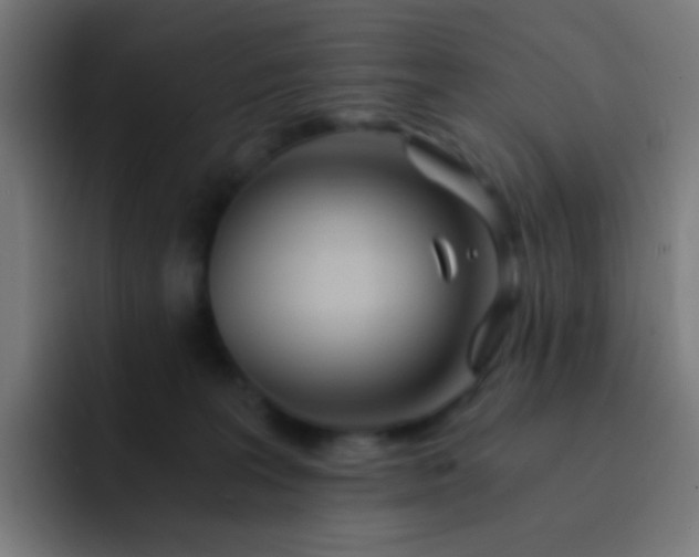 X0000093230227200710101409