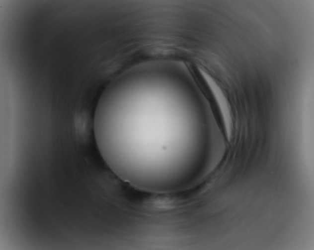 X0000093230228200710101409