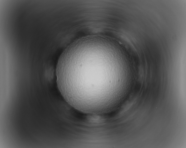 X0000093230230200710101409