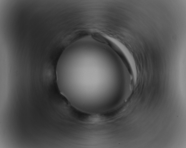 X0000093230231200710101409