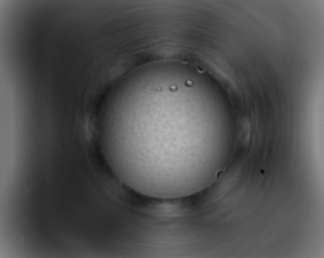 X0000093230236200710101409