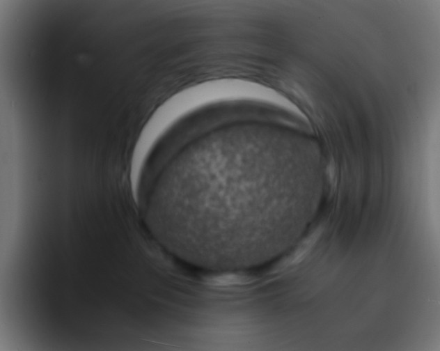 X0000093230237200710101409