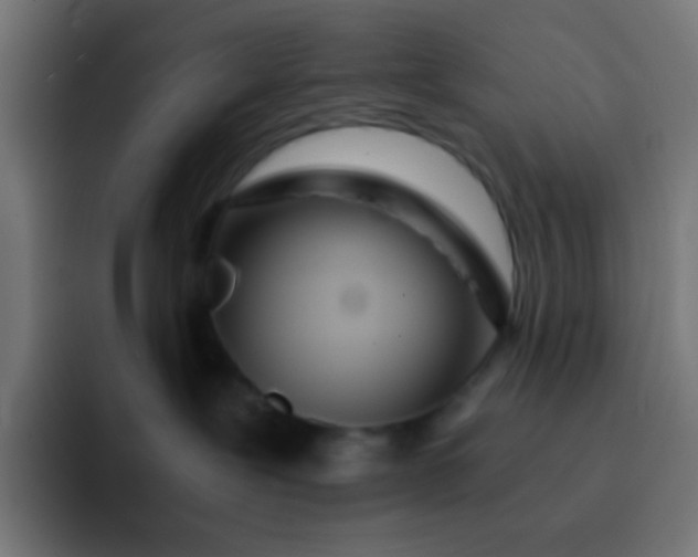 X0000093230239200710101409