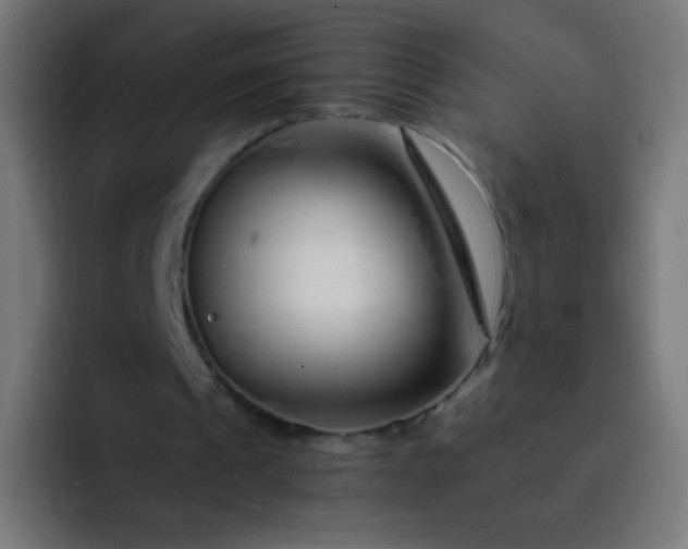 X0000093230241200710101409