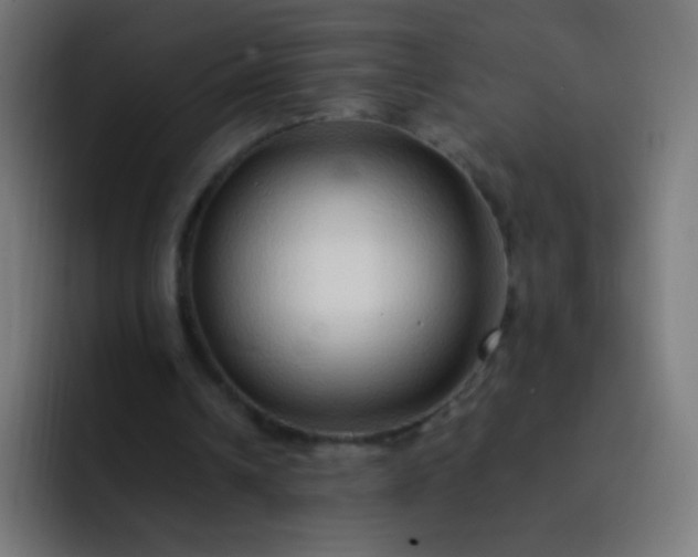 X0000093230242200710101409