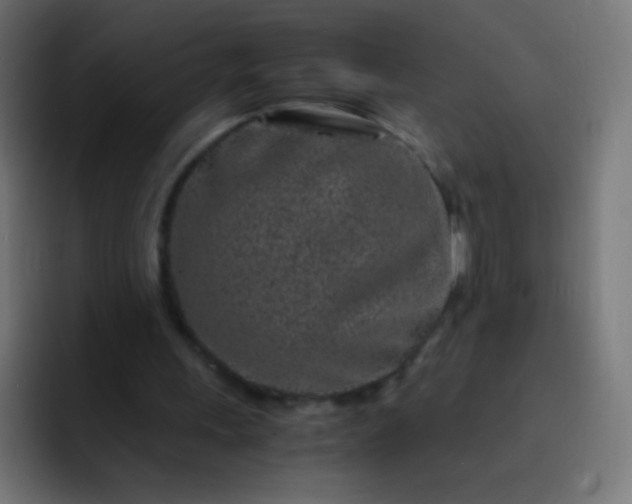 X0000093230243200710101409