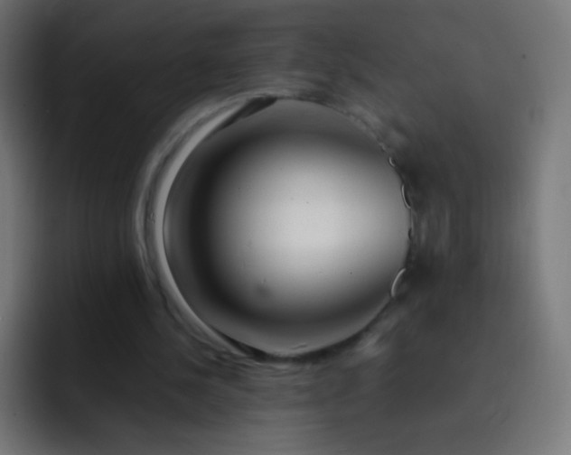 X0000093230244200710101409