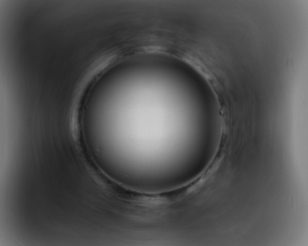 X0000093230245200710101409