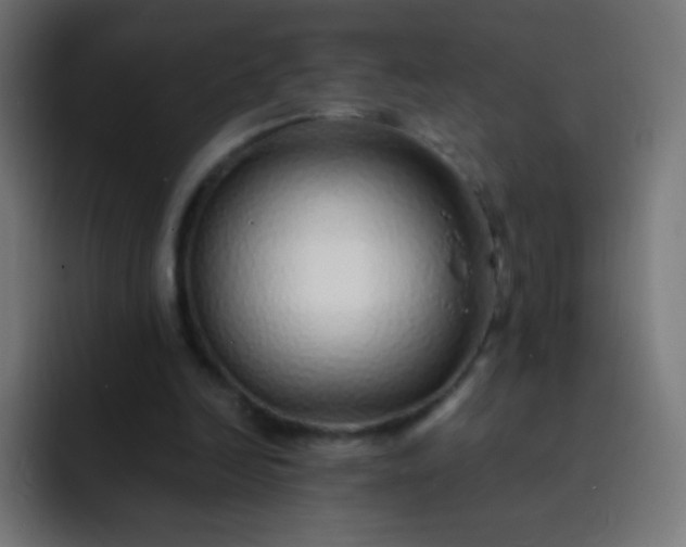 X0000093230246200710101409