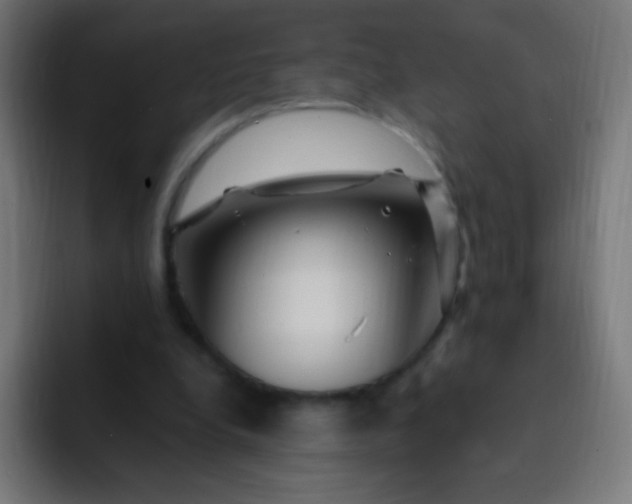 X0000093230248200710101409