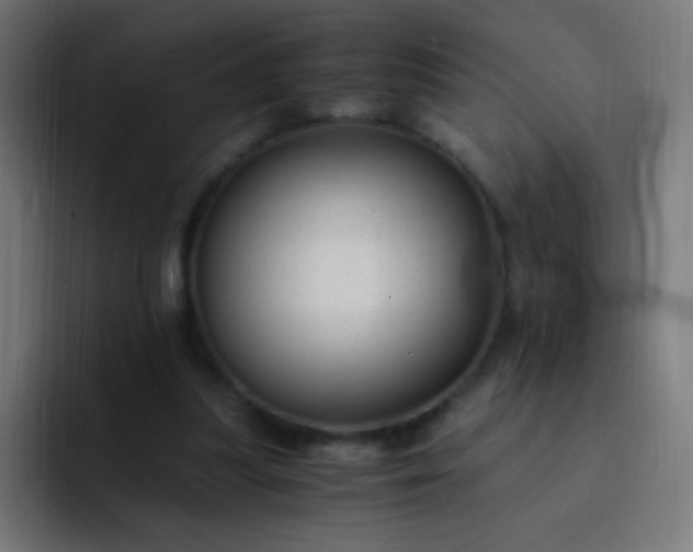 X0000093230251200710101409