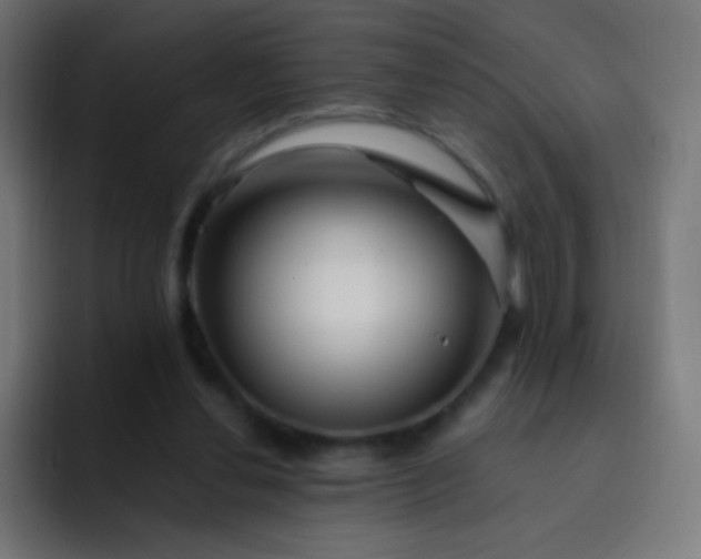 X0000093230252200710101409