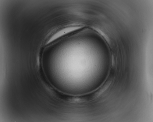 X0000093230253200710101409