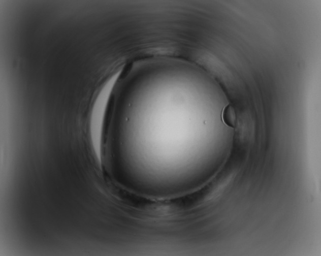 X0000093230255200710101409