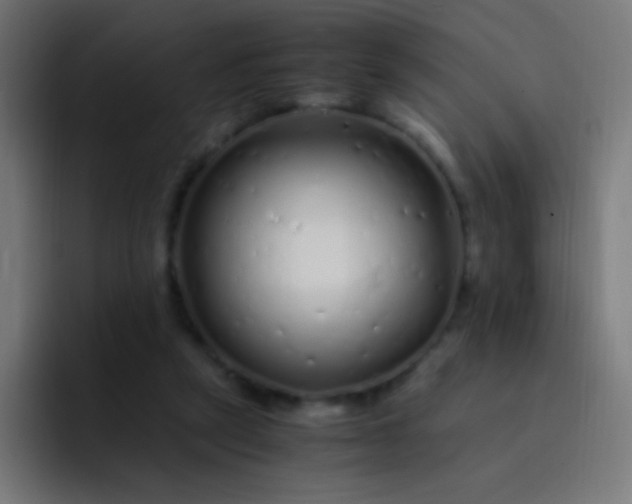 X0000093230257200710101409