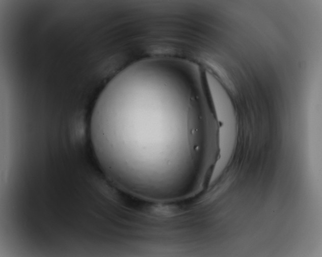 X0000093230261200710101409