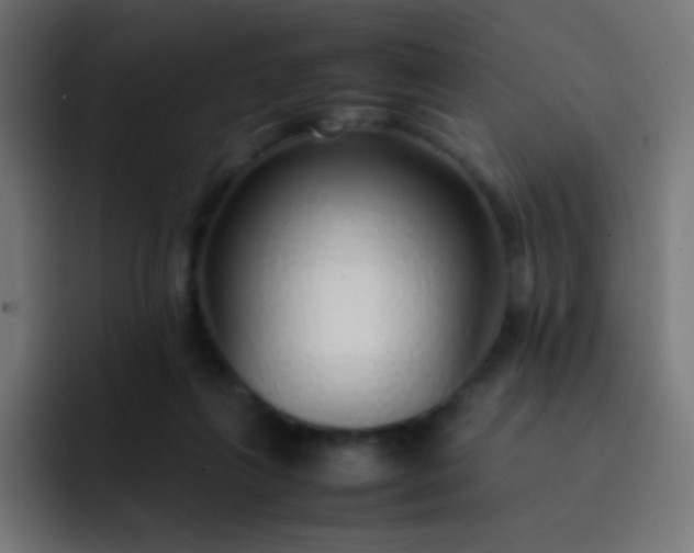 X0000093230263200710101409