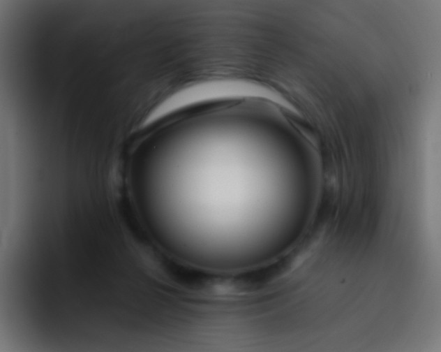 X0000093230264200710101409