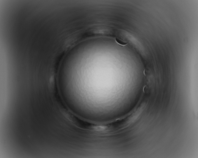 X0000093230265200710101409