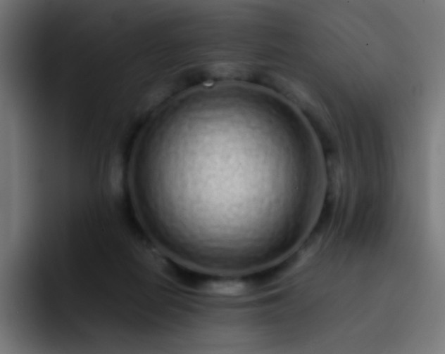 X0000093230266200710101409