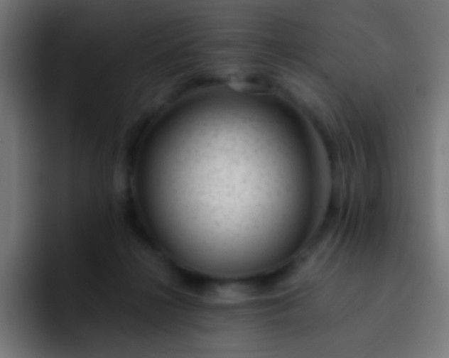 X0000093230268200710101409