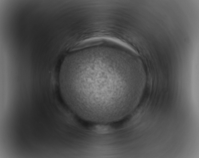 X0000093230272200710101409