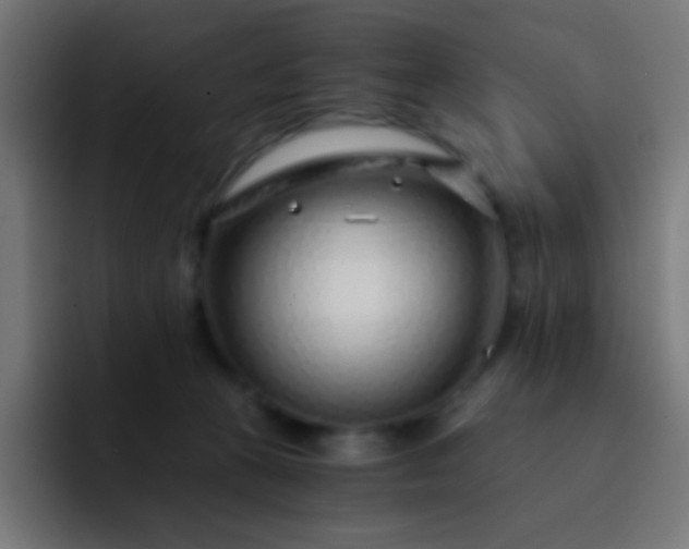 X0000093230273200710101409