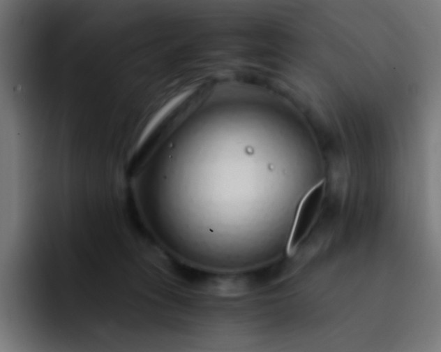 X0000093230275200710101409