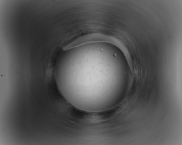 X0000093230276200710101409