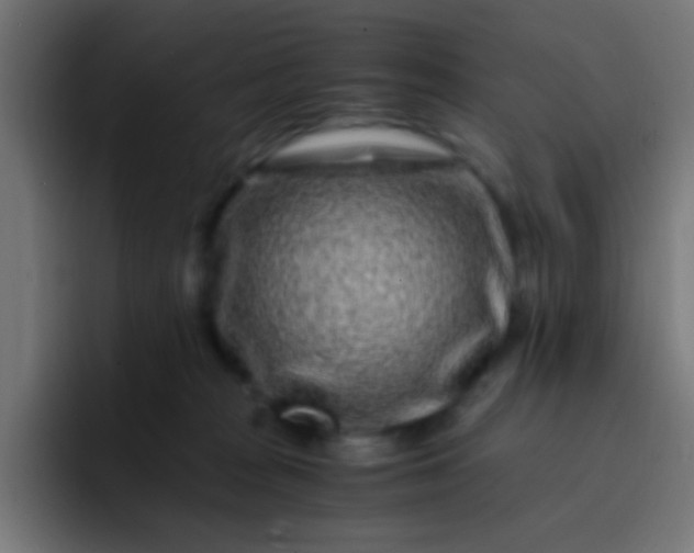 X0000093230277200710101409