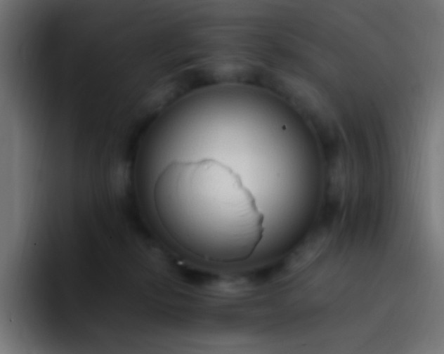 X0000093230278200710101409