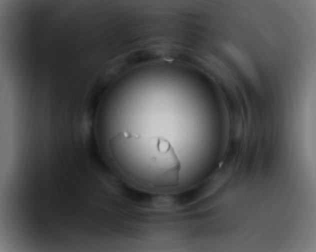 X0000093230279200710101409