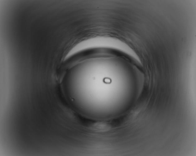 X0000093230280200710101409