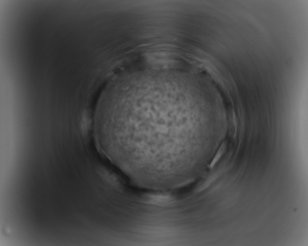 X0000093230284200710101409