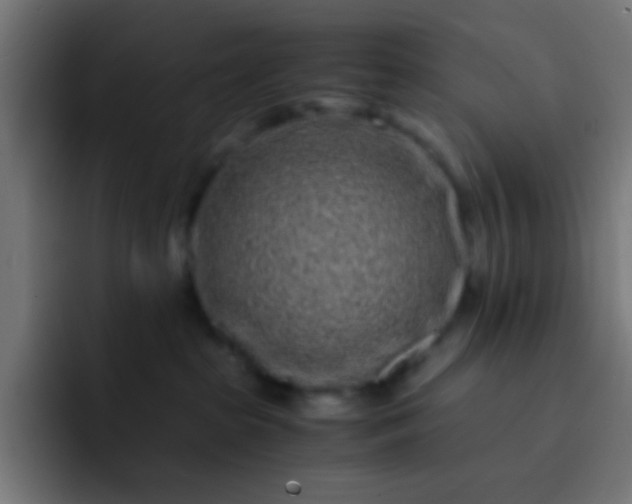 X0000093230285200710101409