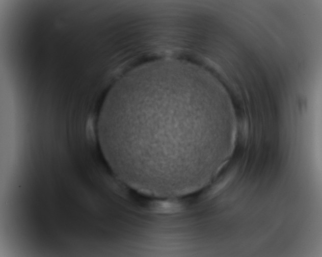 X0000093230286200710101409